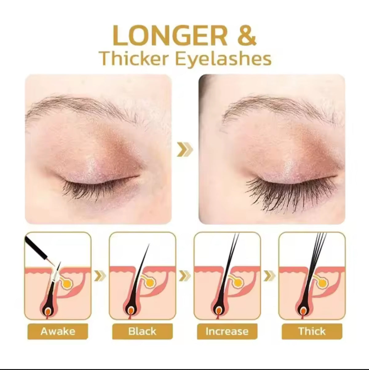 Eyelash Serum