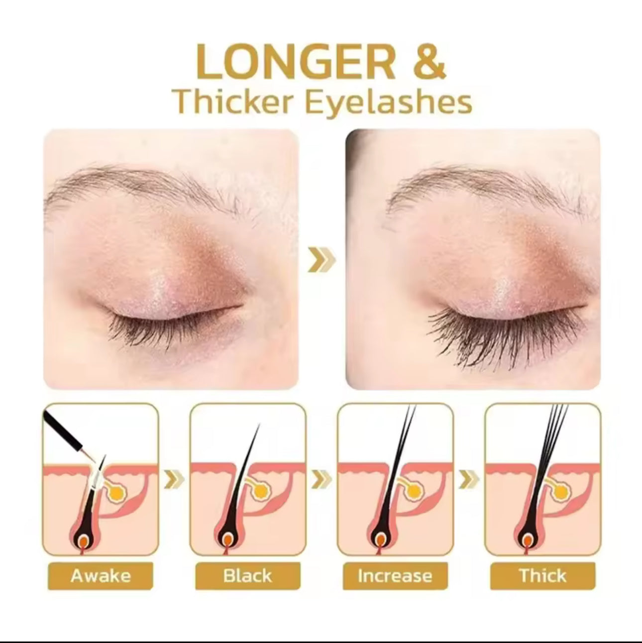 Eyelash Serum